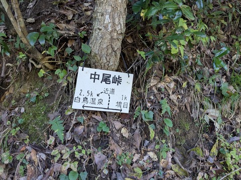 PXL_20251114_001137802