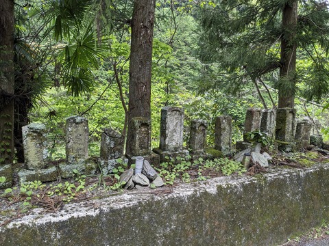 PXL_20240426_005333454