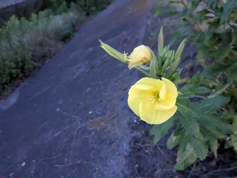 PXL_20250619_104116195