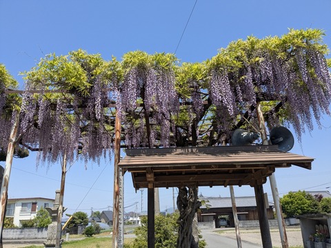 PXL_20250426_030300622