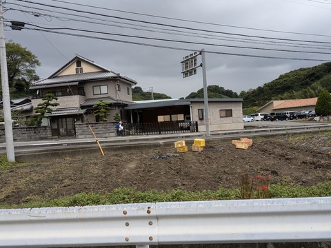 PXL_20241023_040347798