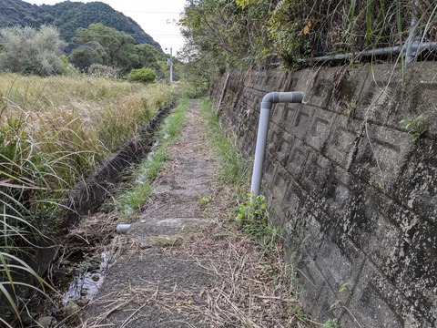 PXL_20241120_224052999