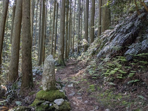 PXL_20250430_002814076