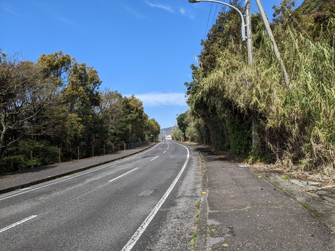 PXL_20240329_021558995