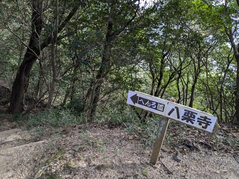 PXL_20241108_004928437