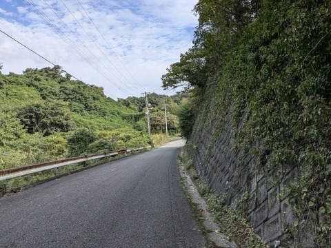 PXL_20241024_010306568