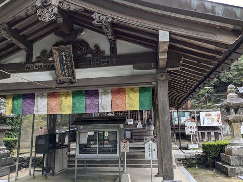 PXL_20241106_043338429