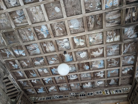 PXL_20240424_051856563