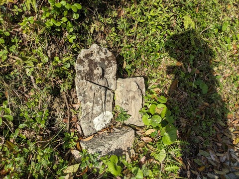 PXL_20240329_222838219