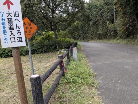 PXL_20251113_035451813