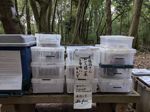 PXL_20241106_054612668