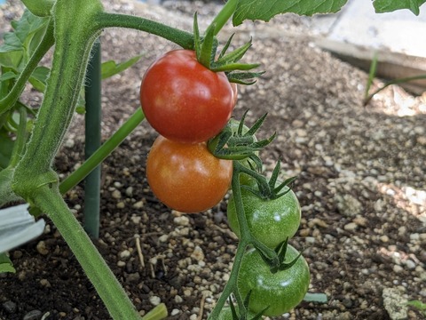 PXL_20240615_231032134