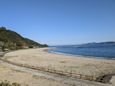 PXL_20241120_052554252