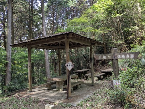 PXL_20250430_052441458