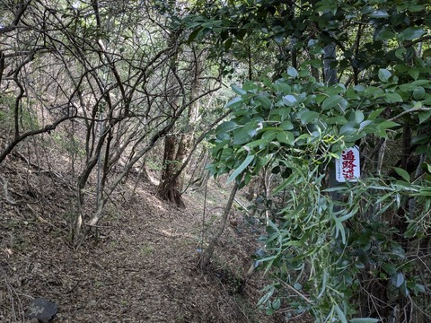 PXL_20241024_001038407