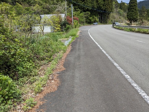 PXL_20240426_042235705