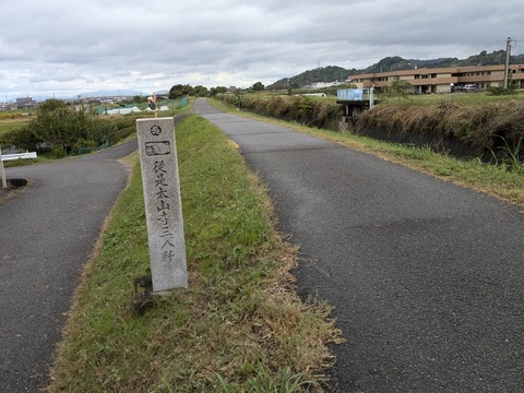 PXL_20241023_031934008