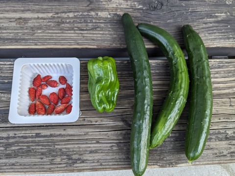 PXL_20240613_224756207