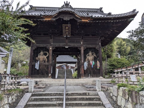 PXL_20241022_062957456