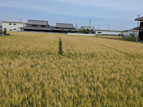 PXL_20250501_013600806