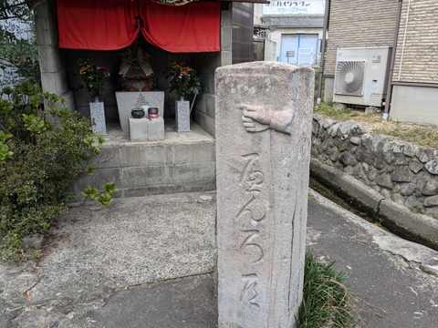 PXL_20241107_050418784