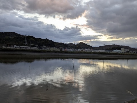 PXL_20251203_220411983