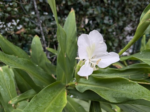 PXL_20241029_055307189