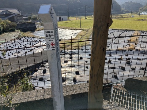 PXL_20251115_004844290