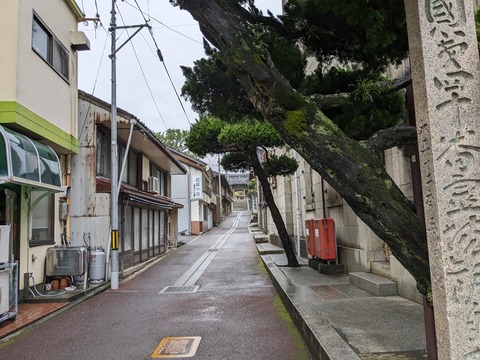 PXL_20240423_004252043