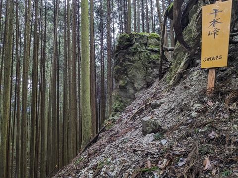 PXL_20240427_033931369