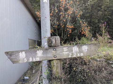 PXL_20251102_012916127