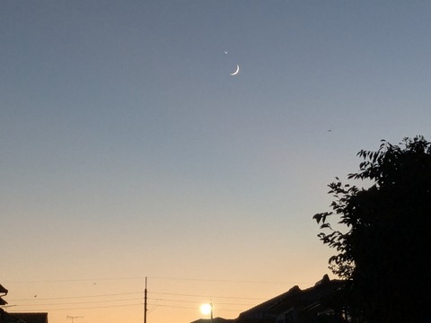 PXL_20250727_104016859