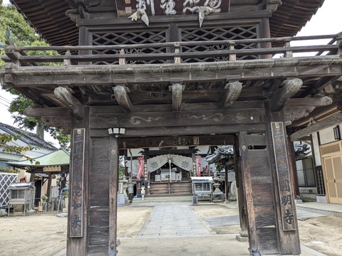 PXL_20241023_052502759