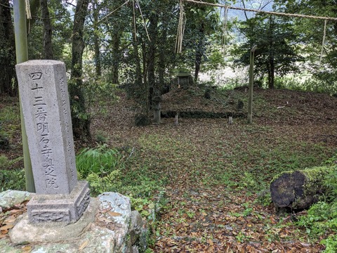 PXL_20240424_044621916