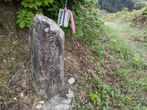 PXL_20240425_214452038