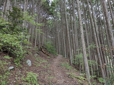 PXL_20240426_041032847