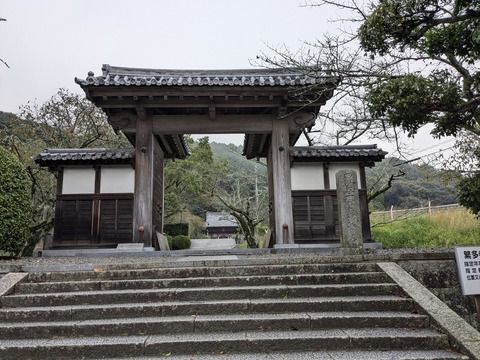 PXL_20241022_223603144