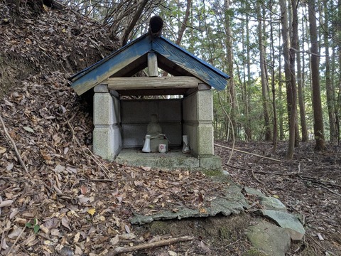 PXL_20251113_233527938