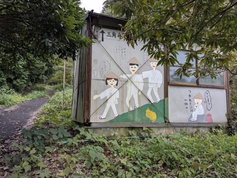 PXL_20251101_230428753