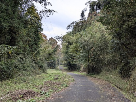 PXL_20251113_050039876