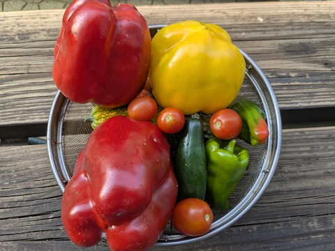 PXL_20250731_233232451