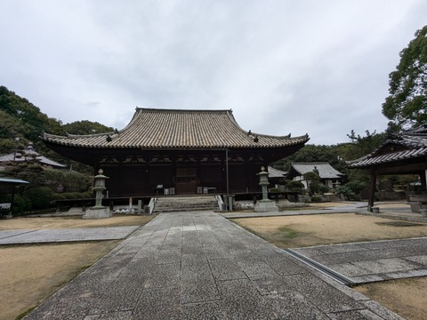 PXL_20241023_042422796