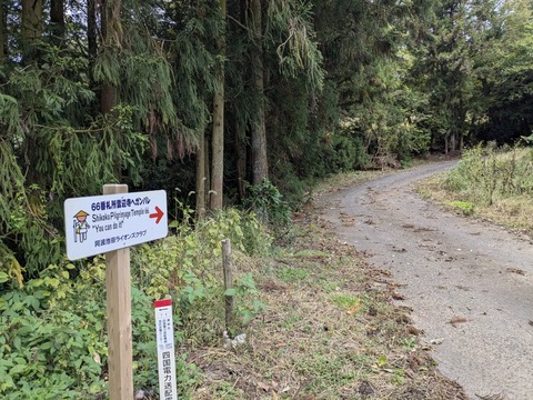 PXL_20251102_233344653