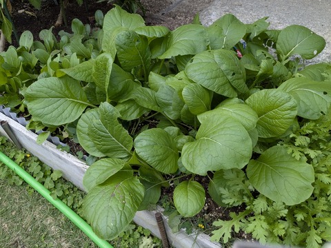 PXL_20251128_070130191