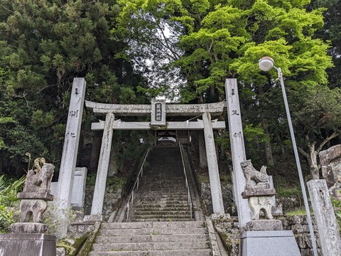 PXL_20240426_043431925