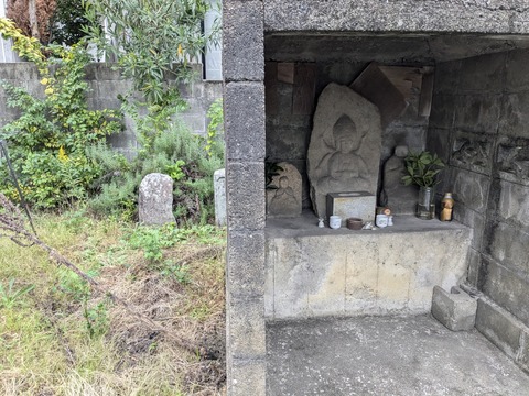 PXL_20241022_050140740