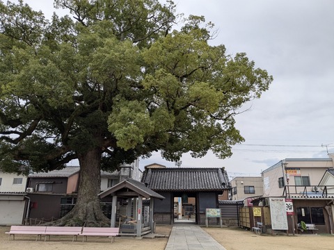 PXL_20251113_004748127