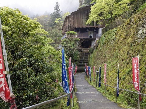 PXL_20240427_012655822