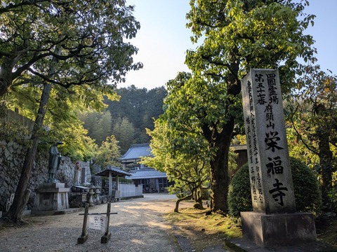 PXL_20250428_222954494