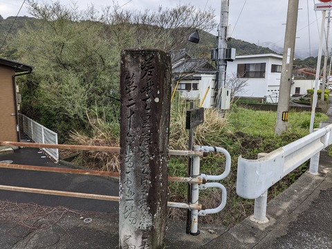 PXL_20240328_221545888